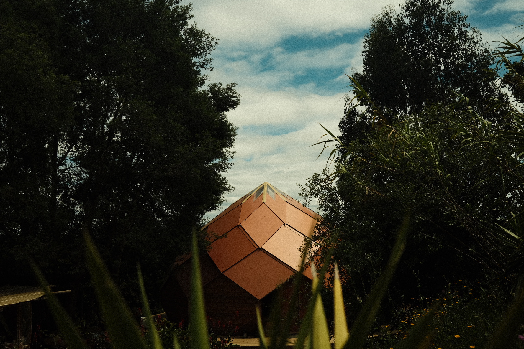 A Zome with copper-coloured roof panels seen through trees and plants