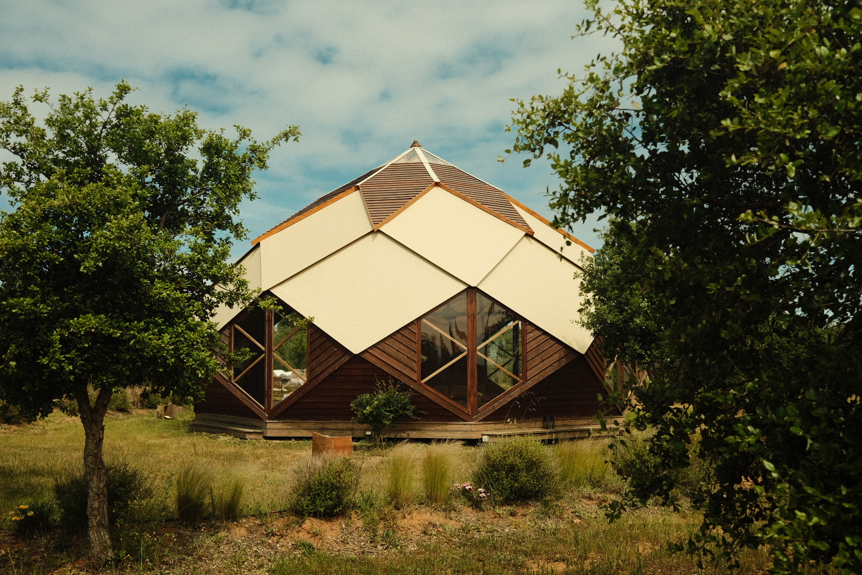 A diamond-shaped wooden Zome nestled among trees in Portugal
